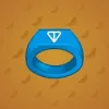 Signet Ring #1376