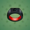 Signet Ring #1533