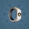 Signet Ring #2250