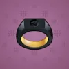 Signet Ring #2517