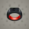Signet Ring #2533