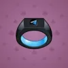 Signet Ring #2662