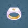 Signet Ring #2796