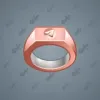 Signet Ring #2812