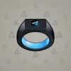 Signet Ring #3176