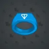 Signet Ring #344