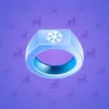 Signet Ring #3859