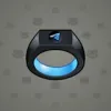 Signet Ring #3880