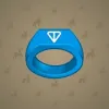 Signet Ring #4342