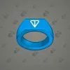 Signet Ring #4390