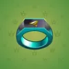 Signet Ring #498