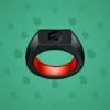Signet Ring #511