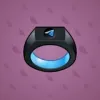 Signet Ring #5453