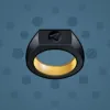Signet Ring #556
