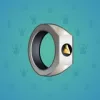 Signet Ring #5771