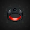 Signet Ring #6074