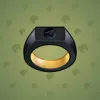 Signet Ring #6109