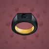Signet Ring #6223
