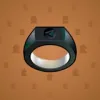 Signet Ring #6340
