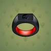Signet Ring #7365