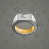 Signet Ring #738