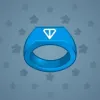 Signet Ring #739