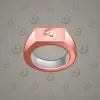Signet Ring #809