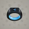 Signet Ring #833