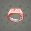 Signet Ring #8537