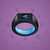 Signet Ring #8750