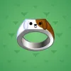 Signet Ring #8823