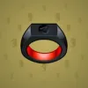 Signet Ring #982