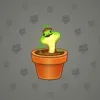 Snake Box #1295