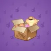 Snake Box #1996