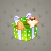 Snake Box #2398