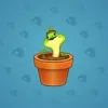 Snake Box #3003