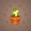 Snake Box #3220