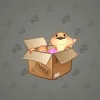 Snake Box #3641