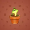 Snake Box #3670