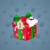 Snake Box #3731