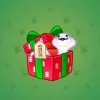 Snake Box #4073
