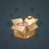Snake Box #4257
