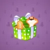 Snake Box #4336