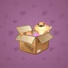 Snake Box #4540