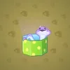 Snake Box #5285