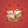 Snake Box #5803