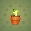 Snake Box #5957