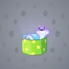 Snake Box #6204