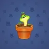 Snake Box #6301
