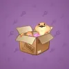 Snake Box #641